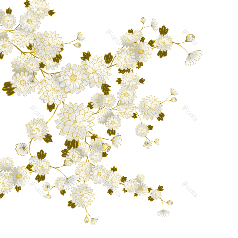 菊花图片,花朵元素,白色花朵PNG,工笔画免抠素材